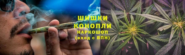 хмурый Карпинск