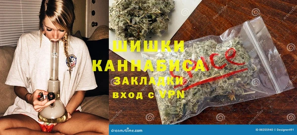 гидра Касимов