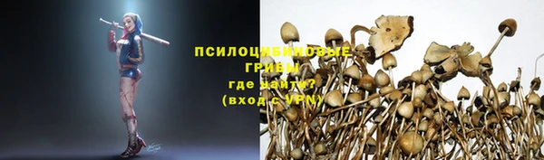 хмурый Карпинск
