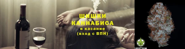 гидра Касимов