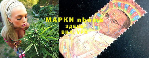 хмурый Карпинск