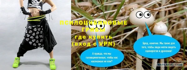 прущие грибы Гусиноозёрск