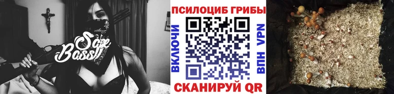 Псилоцибиновые грибы Cubensis  Котельнич 