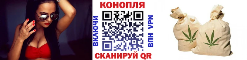 Каннабис OG Kush  Котельнич 